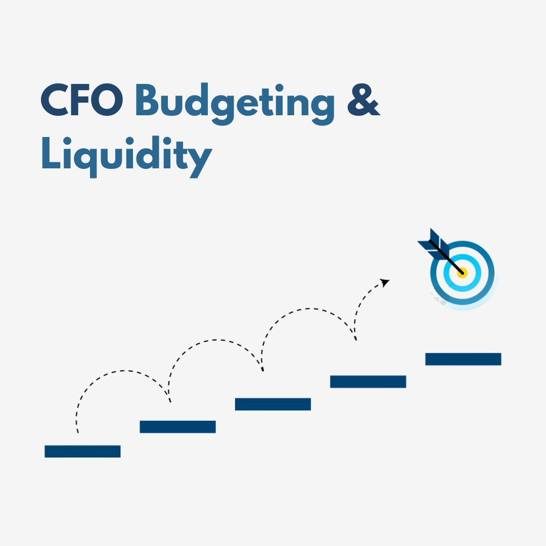 SaaS Financial Modeling Series a Fundraising​