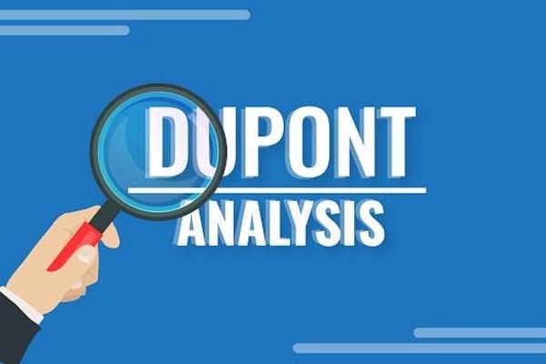 DuPont analysis model